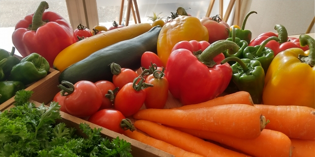 レッスル　野菜販売