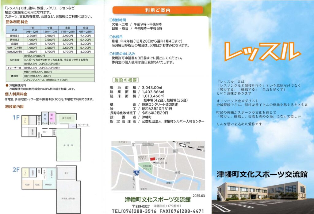 eレッスル　パンフレット